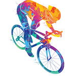 53x11 Cyclerie Positionnement Biomécanique & Analyse posturale Complet Route - Triathlon