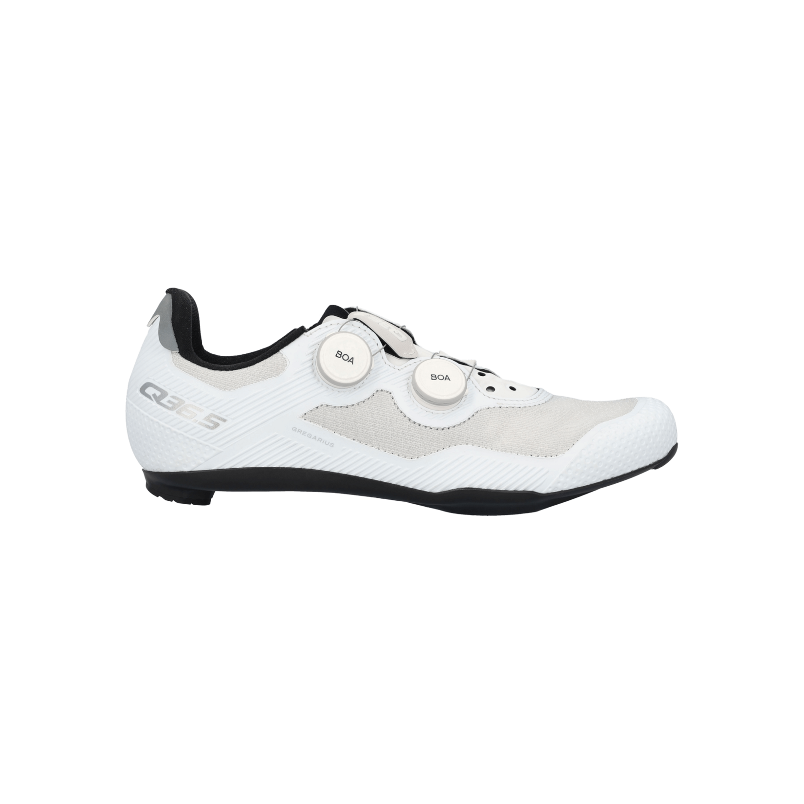 Q36.5 Gregarius Road Shoes