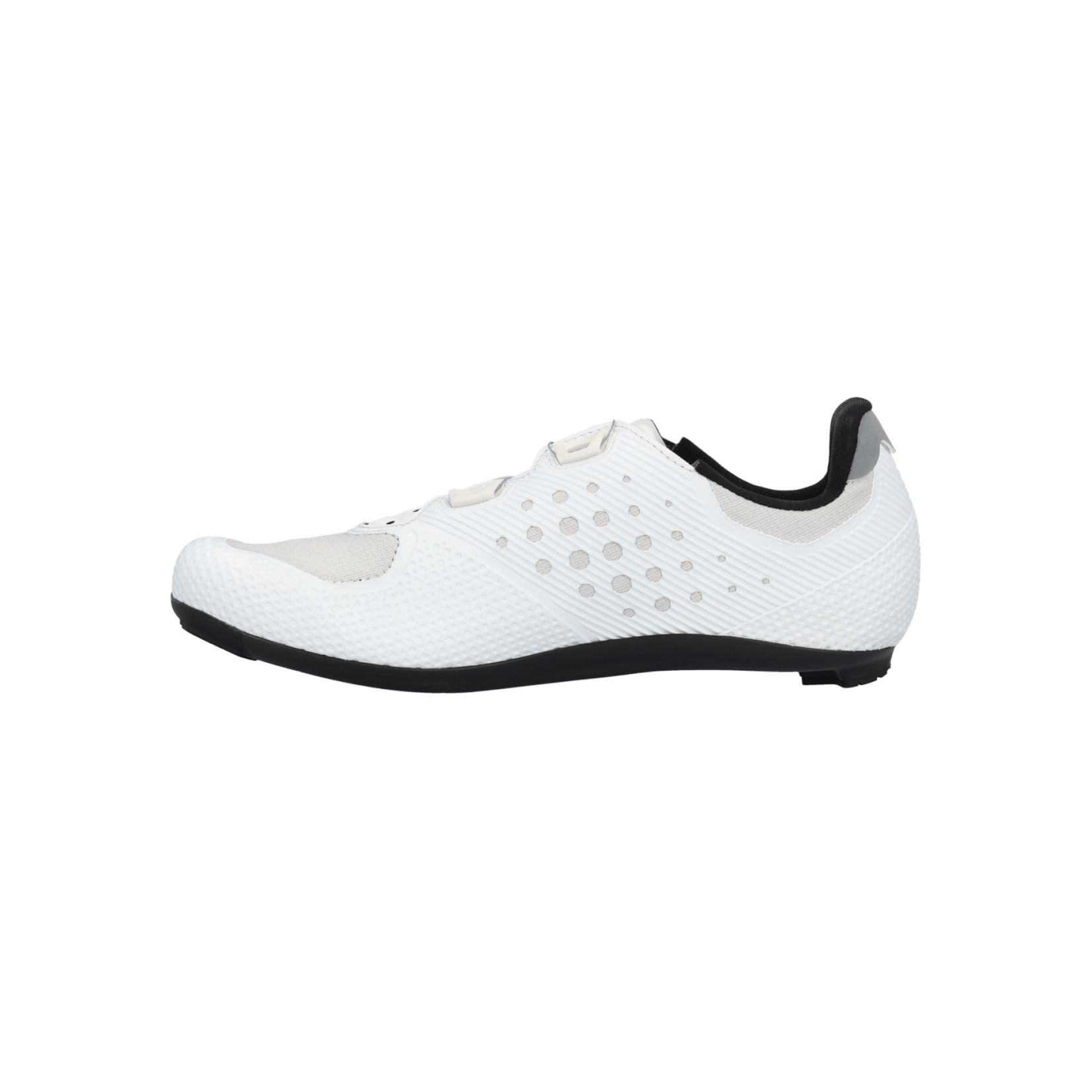 Q36.5 Gregarius Road Shoes