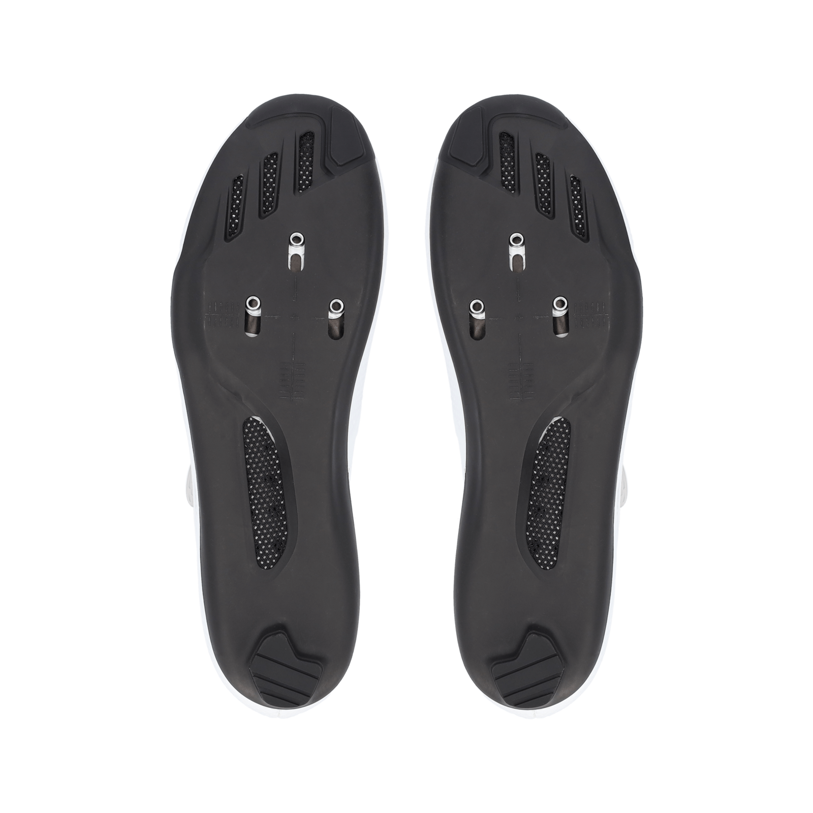 Q36.5 Gregarius Road Shoes