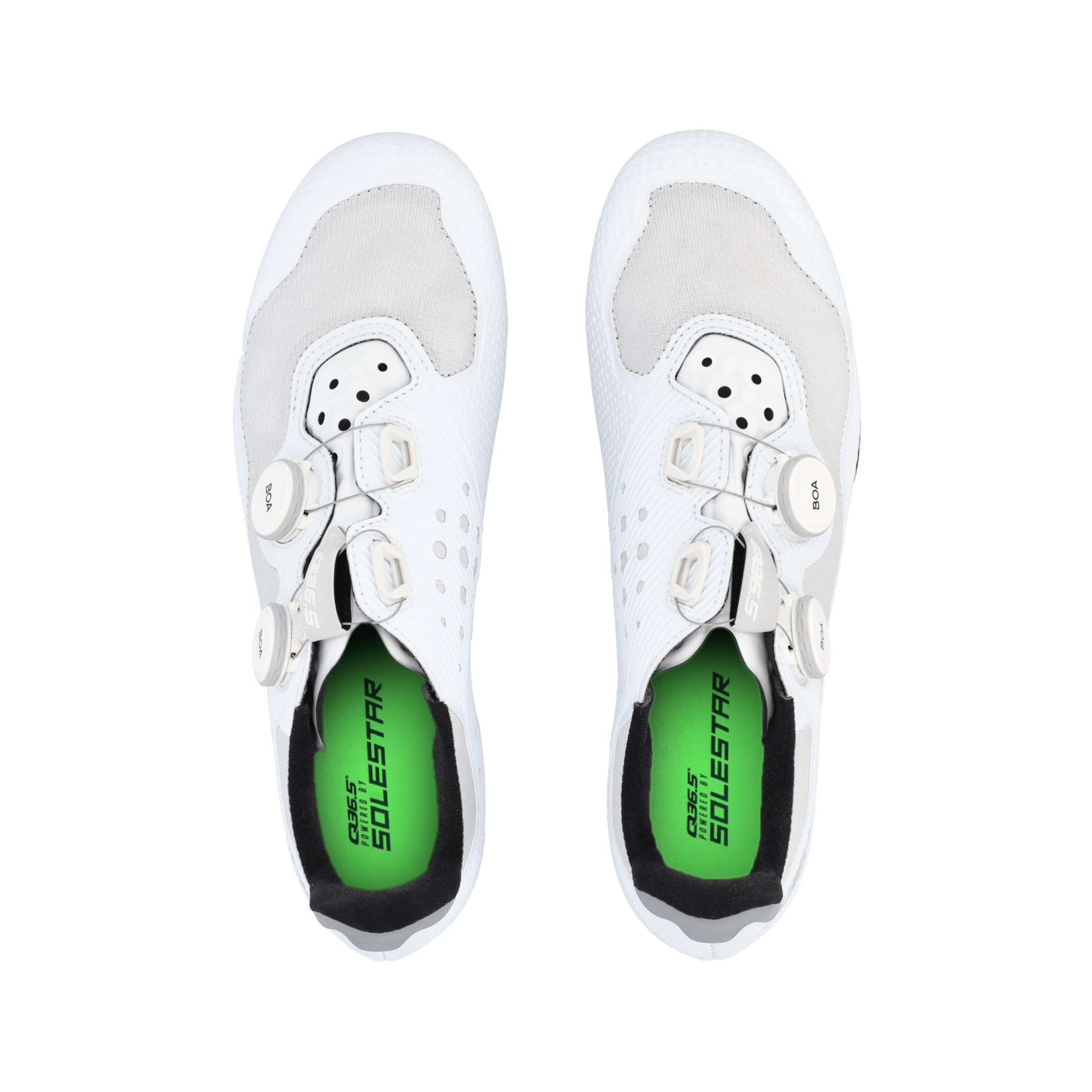 Q36.5 Gregarius Road Shoes