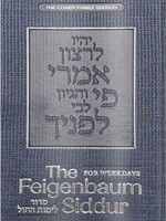 Feigenbaum Siddur, Teens (Weekdays)