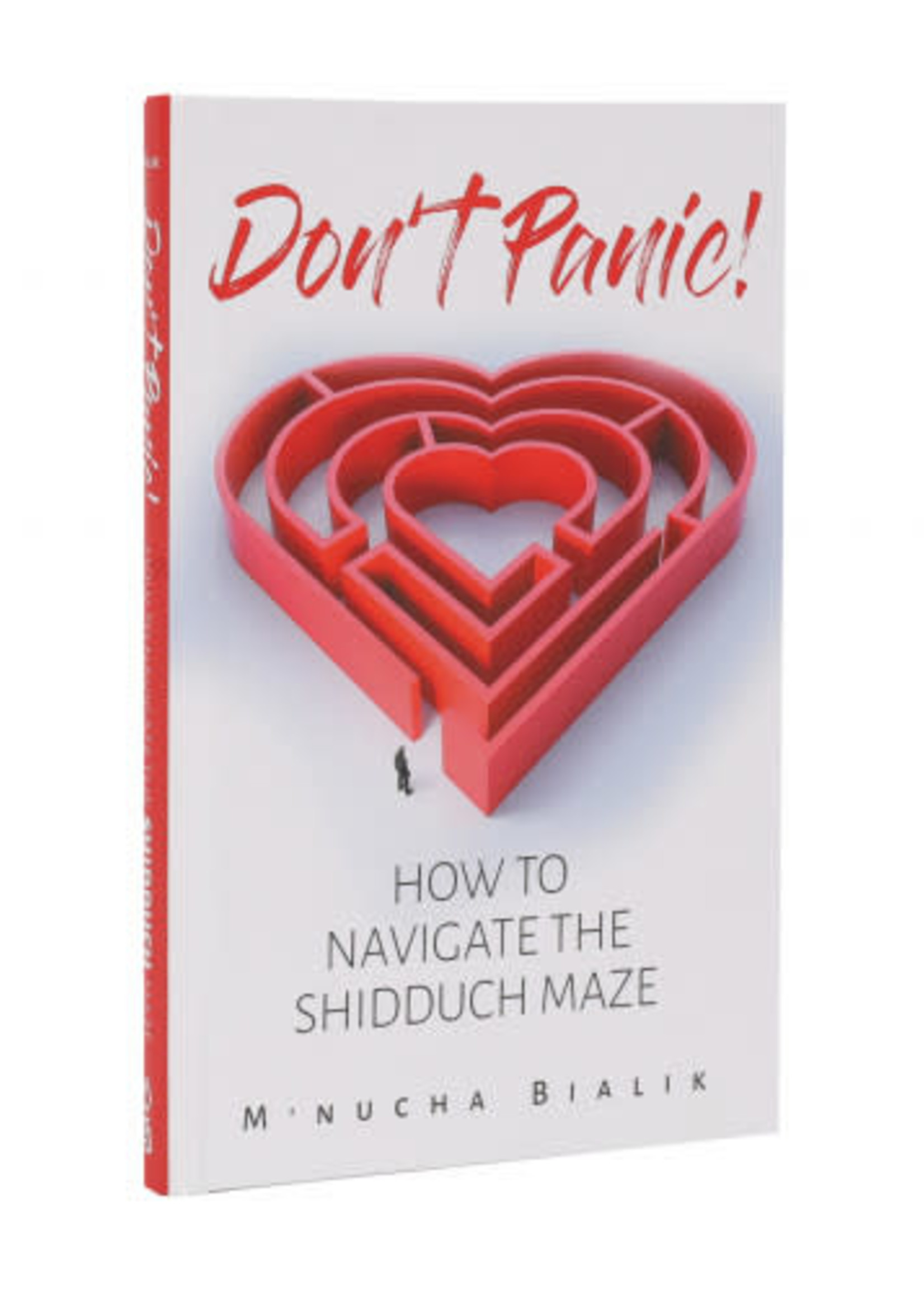 Don't Panic : HOW TO NAVIGATE THE SHIDDUCH MAZE