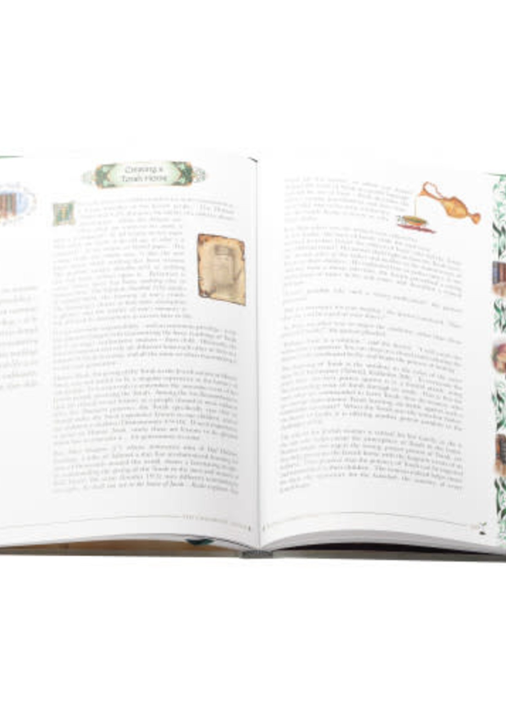 The Halpern Edition - The Childhood Treasury