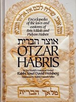 Otzar Habris - Rabbi Yosef David Weisberg (English)