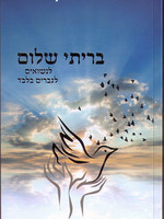 Briti Shalom: For Married Men (Rabbi Shalom Arush)/ בריתי שלום
