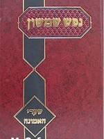 Nefesh Shimshon - Shaarei HaEmunah (Rabbi Shimshon David Pinkus)/ נפש שמשון שערי האמונה