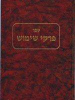Pirkei Shimush/ פרקי שימוש