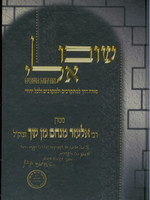 Shuvu Elai / Orchot HaShavim : Rabbi Elazar Menachem Shach/ שובו אלי אורחות השבים