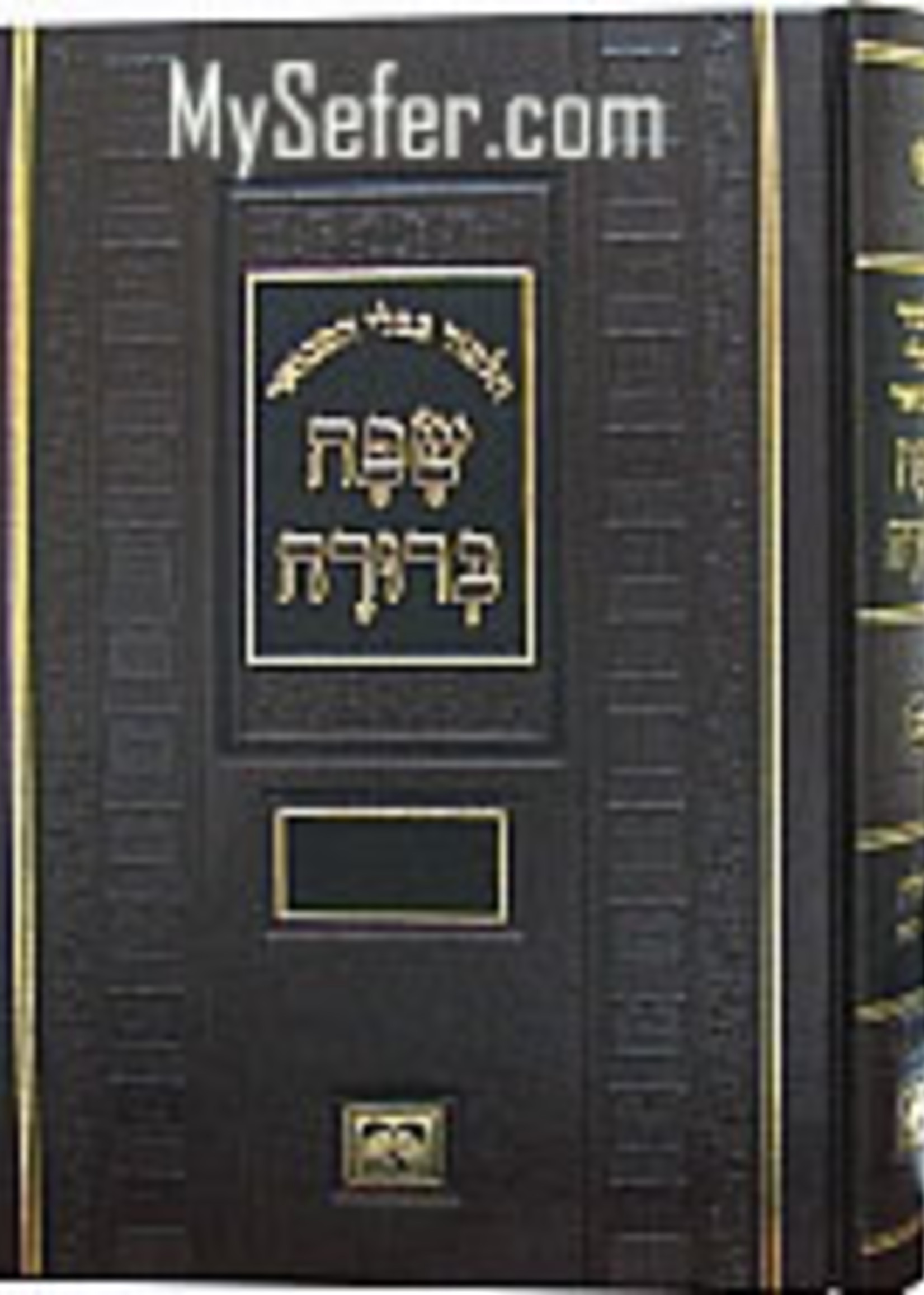 Talmud Bavli - Oz Vehadar Safa Berurah: Ketubot (Med Size) / גמרא כתובות - עוז והדר - שפה ברורה -בינוני