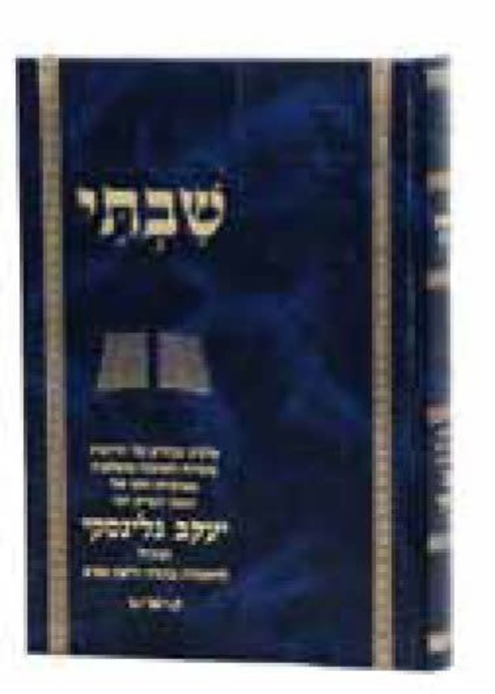 Shivti on Rabbi Yaakov Galinsky/ / ספר שבתי על רב יעקב גלינסקי