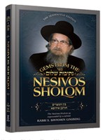 Rabbi S Binyomin Ginsburg Gems from the Nesivos Shalom: Bein Hamtzarim/ Churban Eirupah