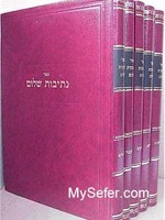 Netivot Shalom al HaTorah - (Slonimer Rebbe)