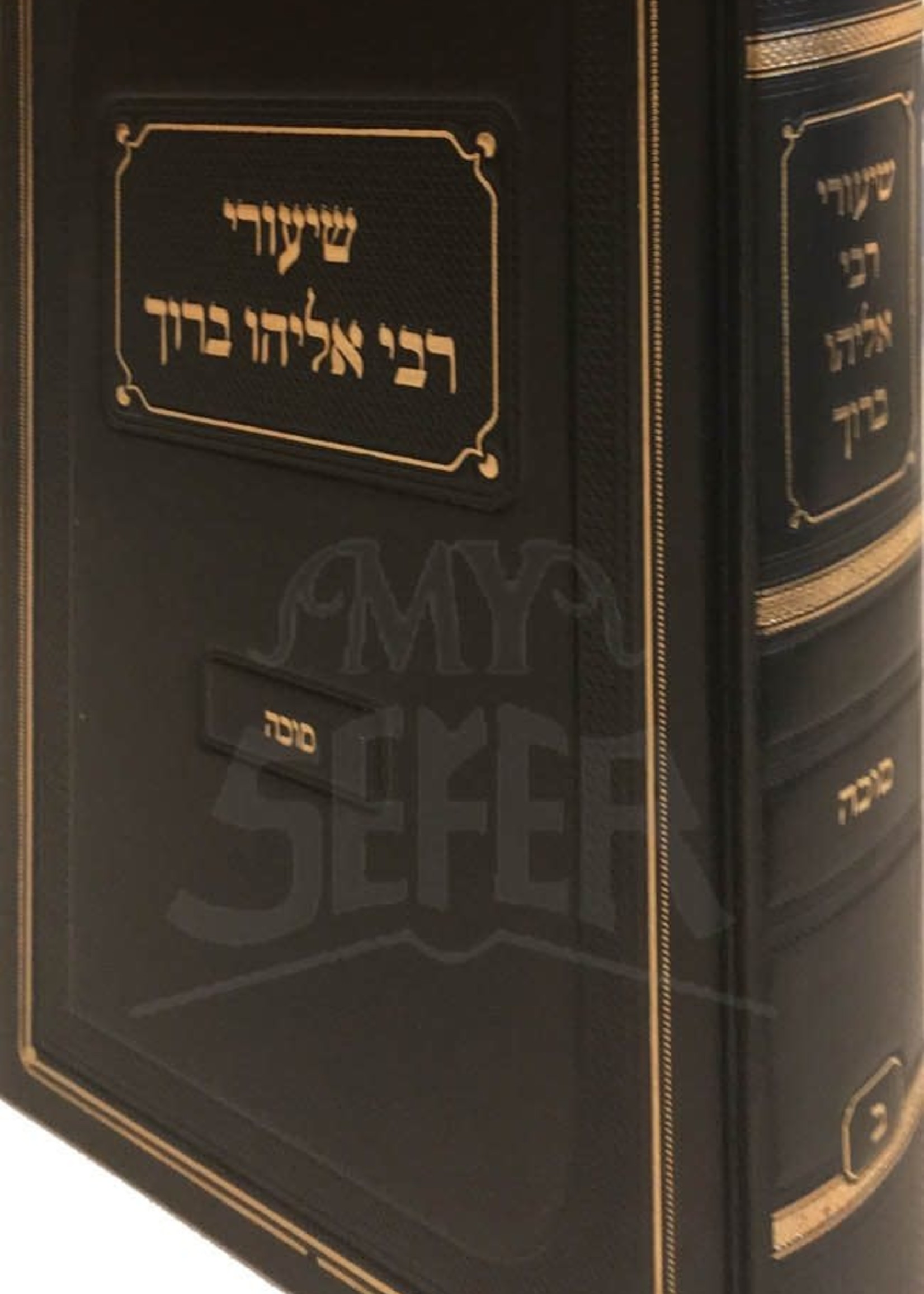 Rabbi Eliyahu Baruch Finkel Shiurei Rabbi Eliyahu Baruch - Masechet Succah