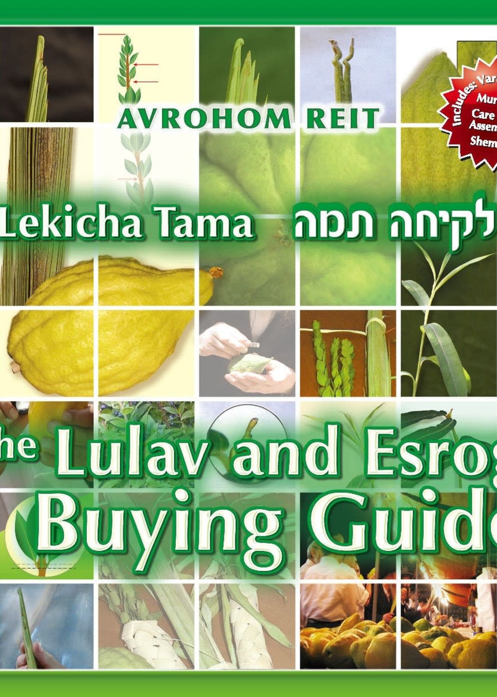 Lekicha Tama - The Lulav and Esrog Buying Guide