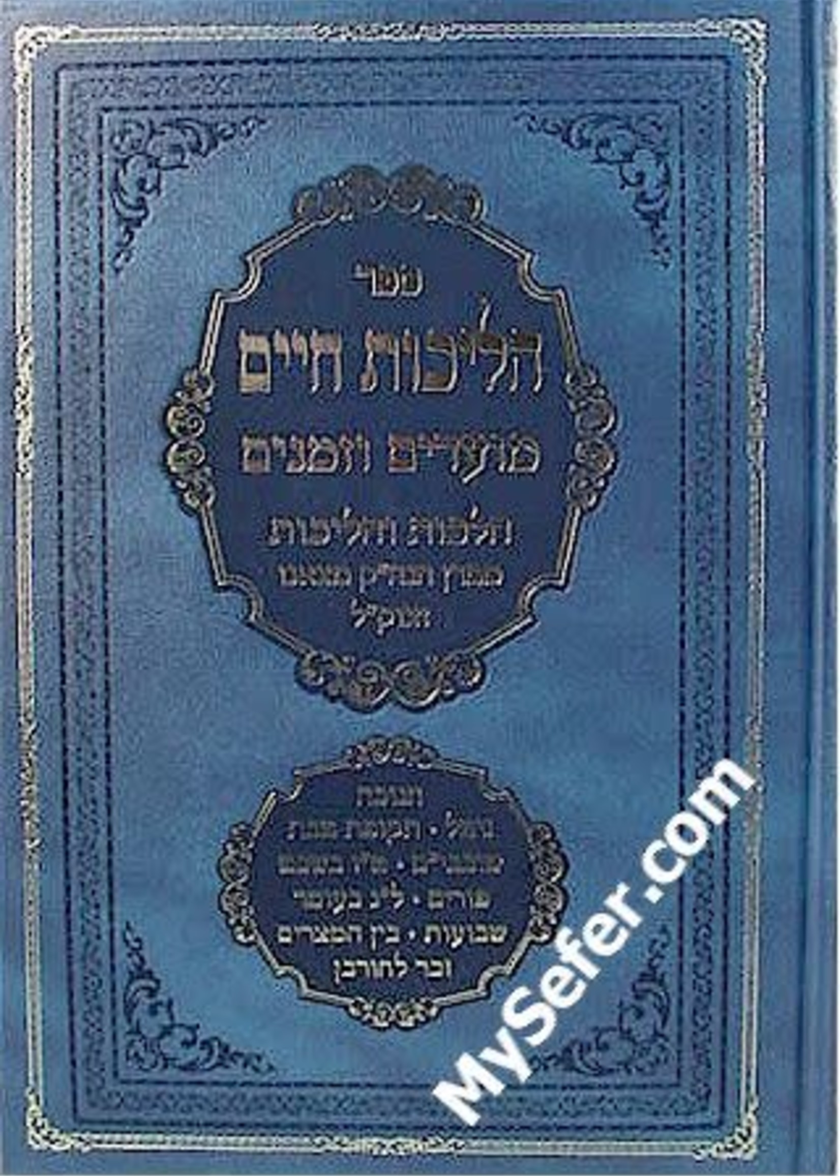 Halichot Chaim : Moadim - Tzanz / Klausenburger (Chanukah to 9th of Av)