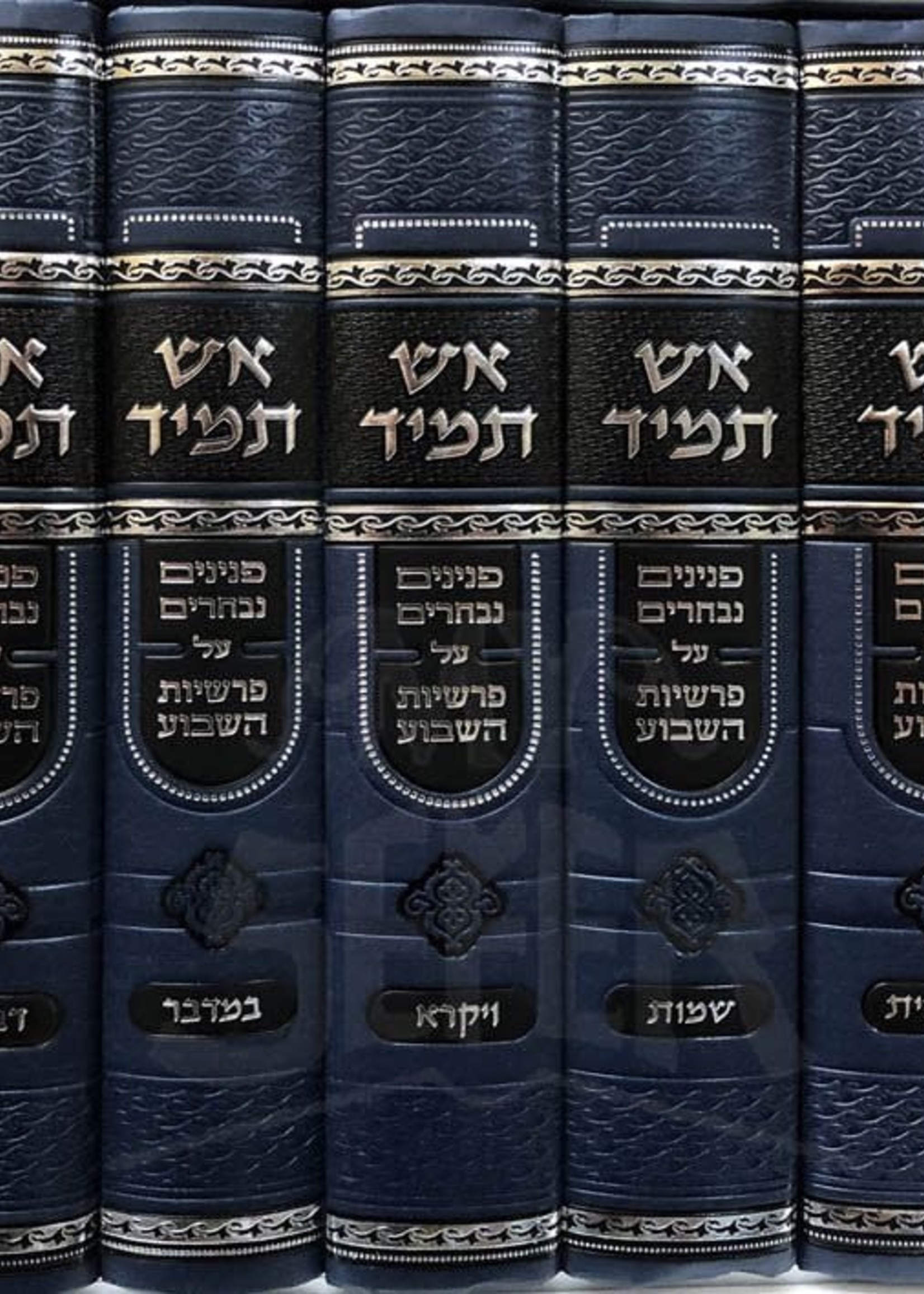 Esh Tamid al HaTorah Rabbi Israel Meir Druk/  אש תמיד על התורה - רב דרוק