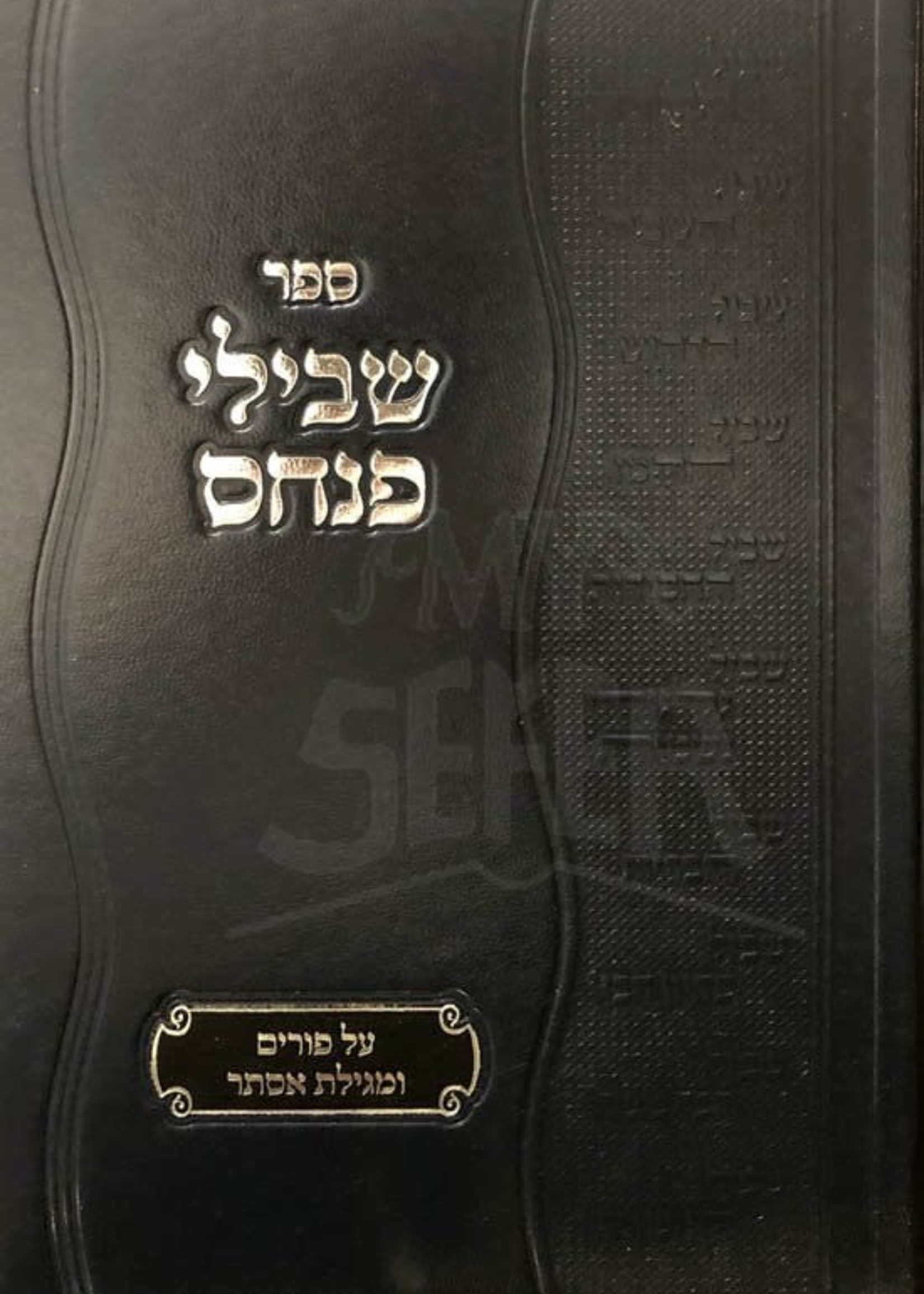 Rabbi Pinchas Friedman Shvilei Pinchas : Purim & Megilat Esther/  שבילי פנחס - פורים ומגילת אסתר