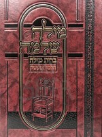 Rabbi Shlomo Shochet Milah Shleimah - Bris Milah/  מילה שלימה - ברית מילה