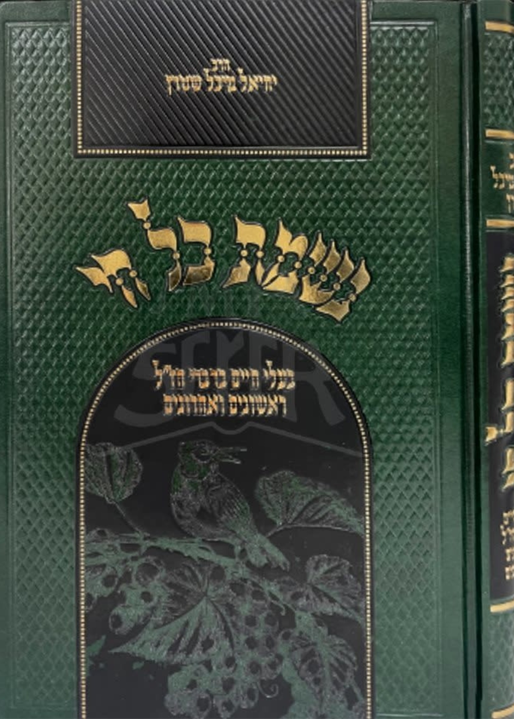 Rabbi Yechiel Michel Stern Nishmas Kol Chai/  נשמת כל חי
