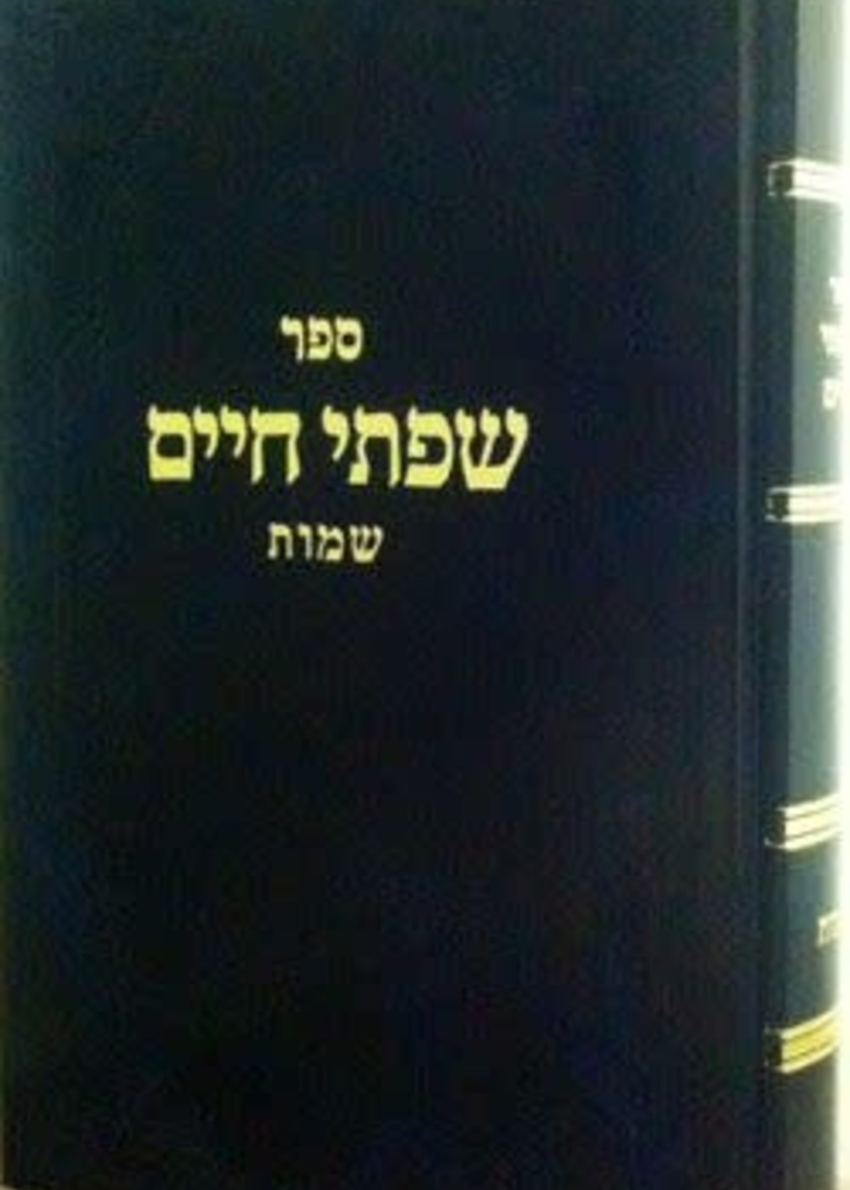 Rabbi Chaim Freidlander Sifsei Chaim - Shemos/  שפתי חיים - שמות