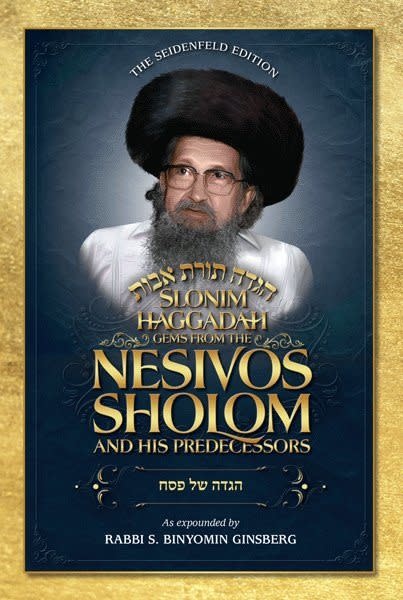 High Speed Rabbi Rabbi S Binyomin Ginsburg Gems from the Nesivos Shalom - Slonim ...