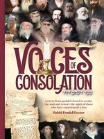 Rabbi Doniel Hexter Voices of Consolation