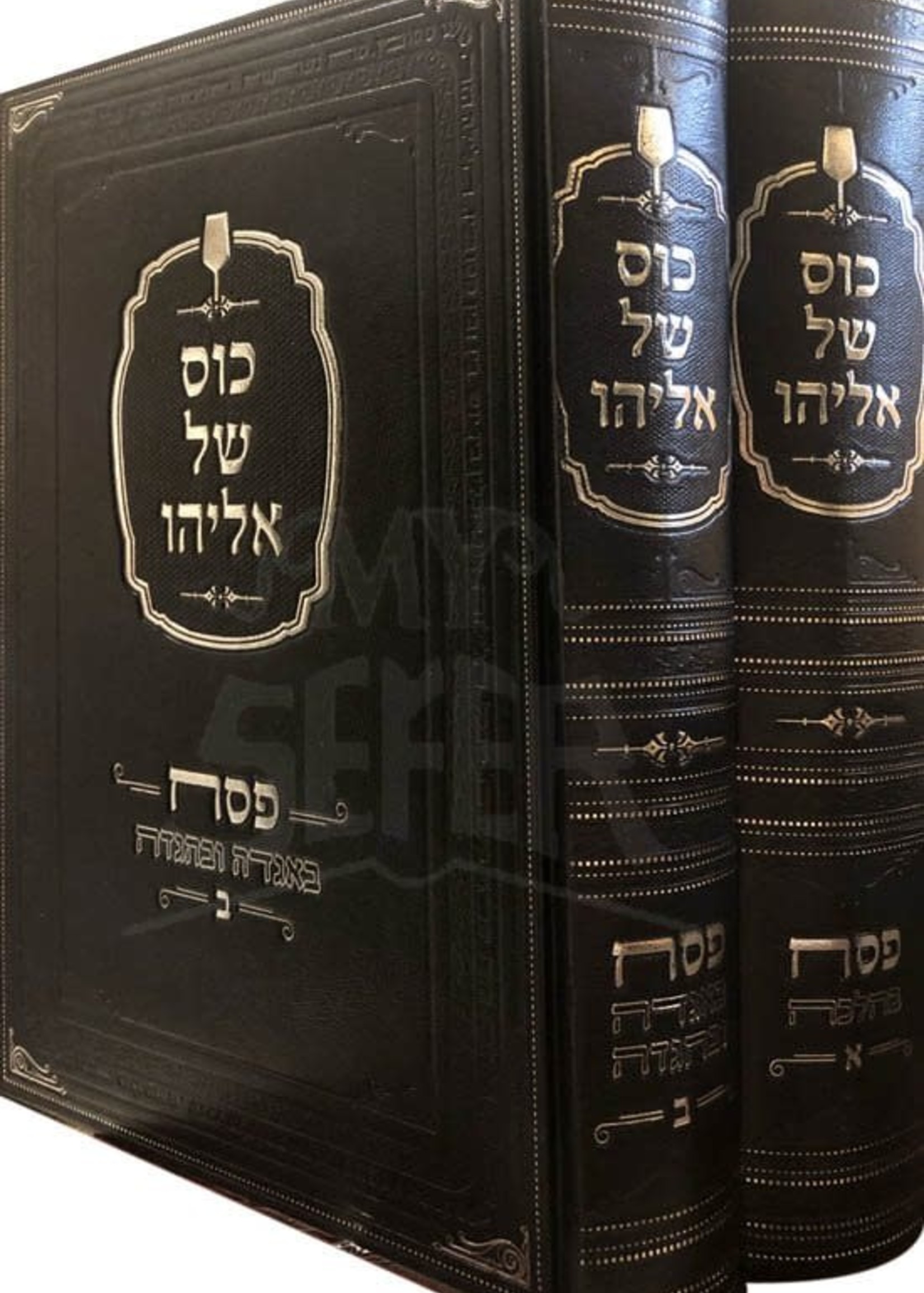 Kos Shel Eliyahu - Pesach (Rav Shlezinger) / כוס של אליהו - פסח בהלכה ואגדה ב"כ