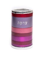 Emanuel Anodized Tzedakah Box Rings (EM-TZK3)