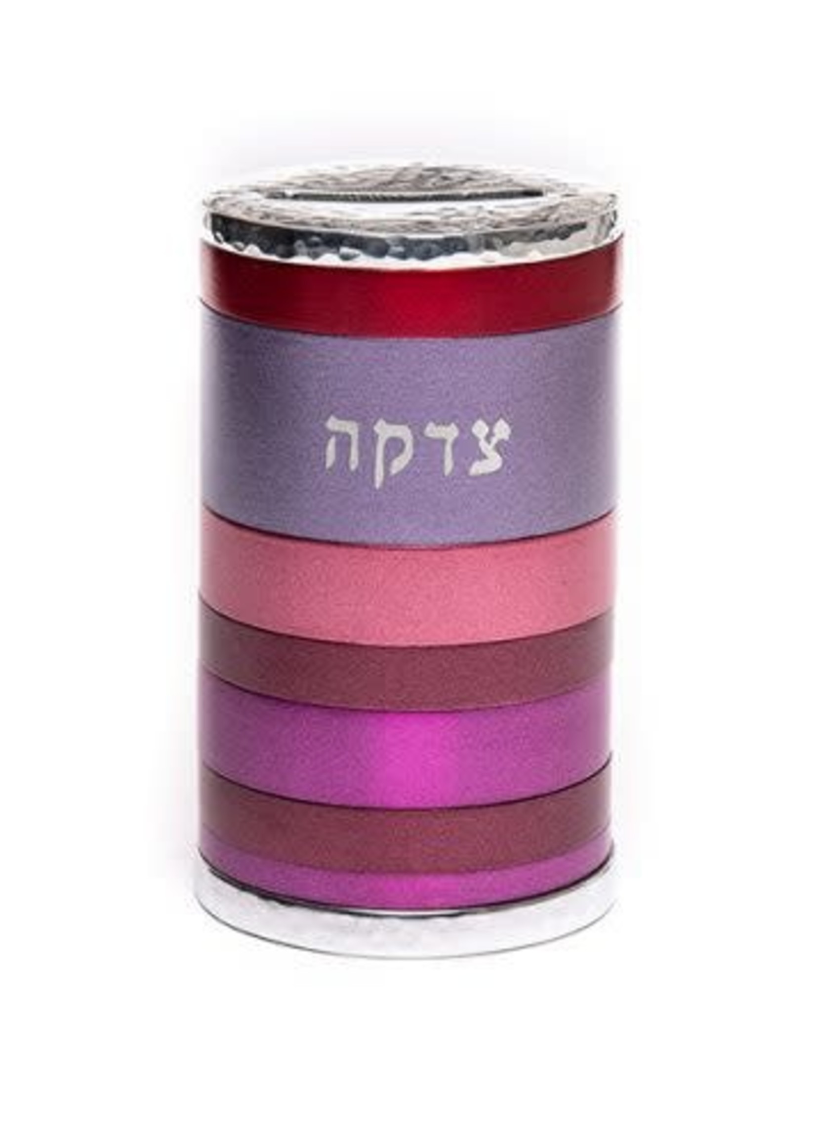 Emanuel Anodized Tzedakah Box Rings (EM-TZK3)