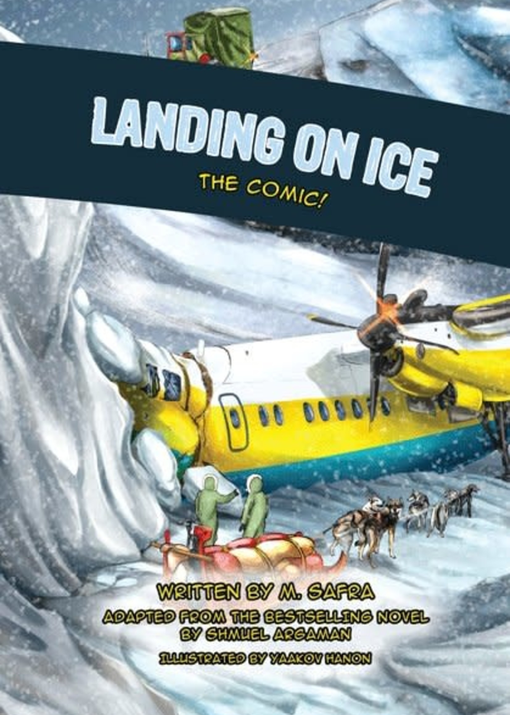 Landing on Ice