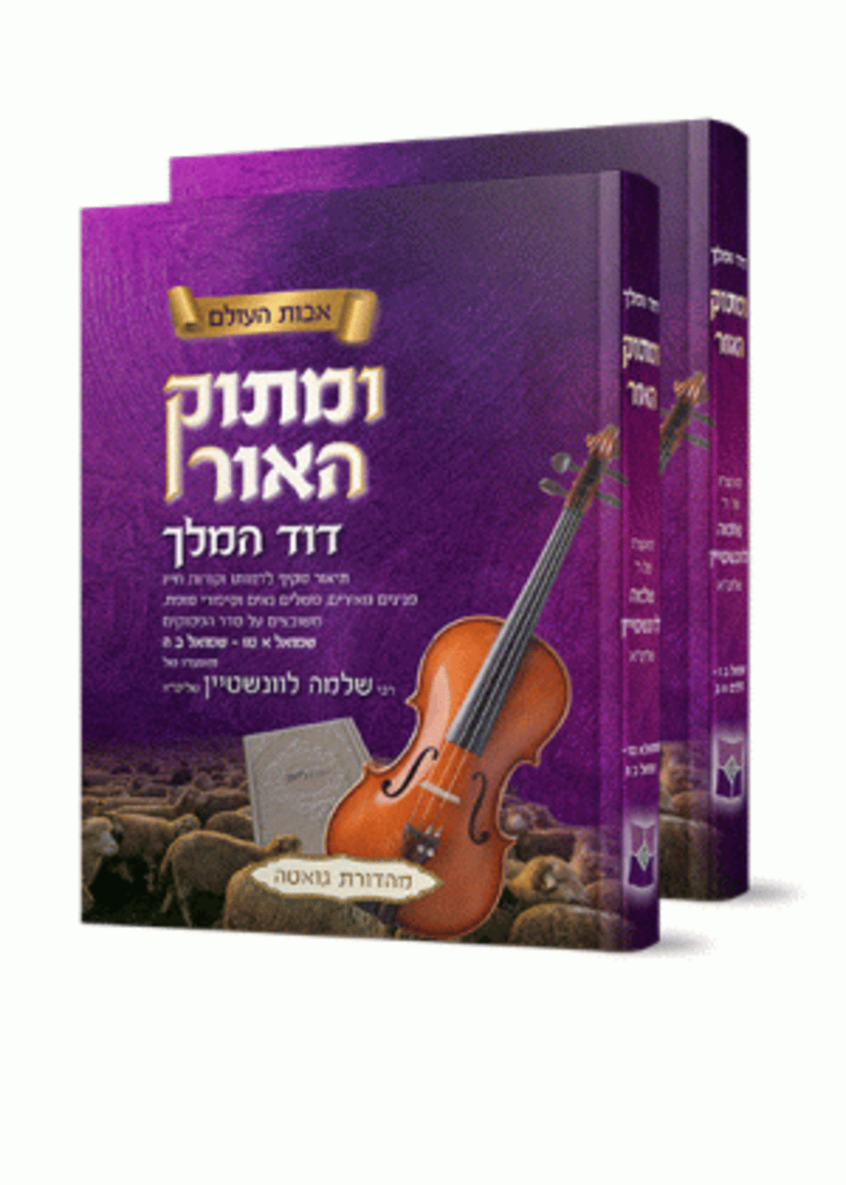 Rabbi Shlomo Levinstein Umasok Haor - Dovid Hamelech - 2 vol./  ומתוק האור - דוד המלך - ב כרכים