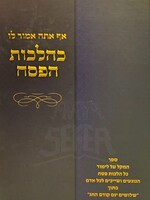 Rabbi Menachem Dan Meisels Kehilchos Hapesach /  כהלכות הפסח