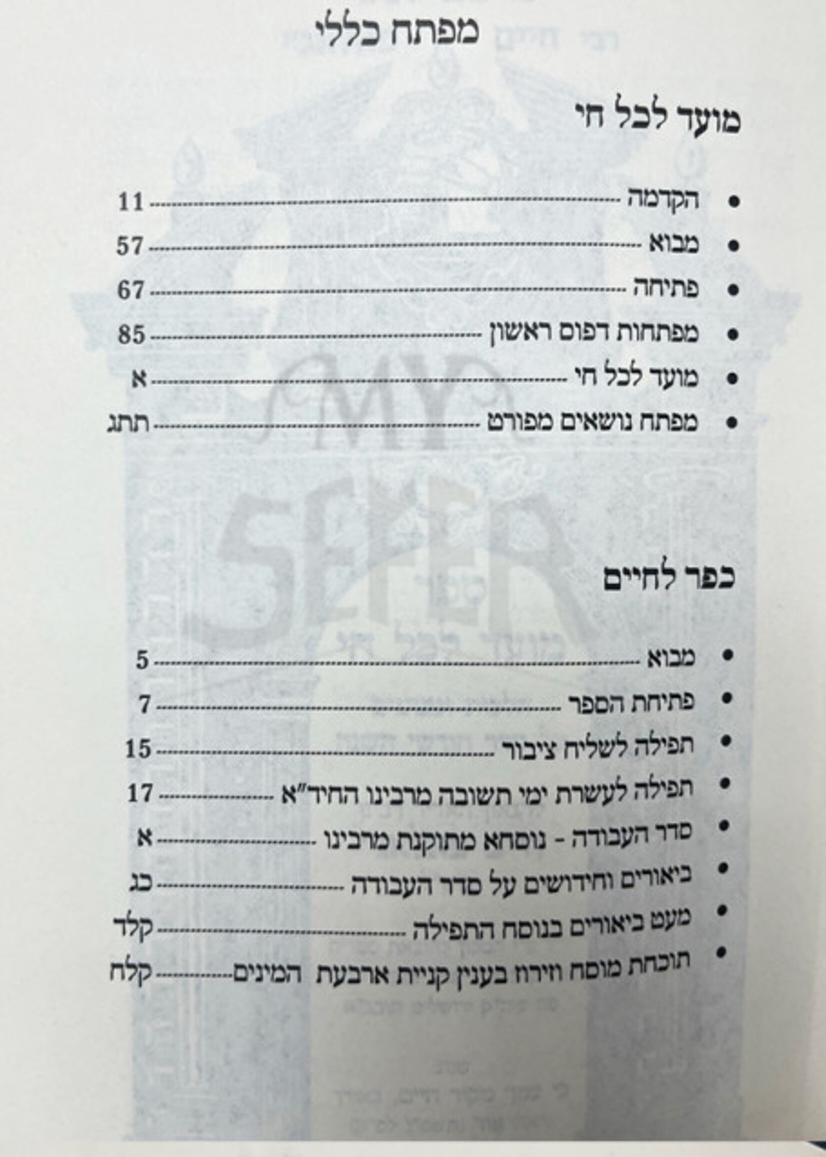 Moed Le'Kol Chai - Rabbi Chaim Palagi ( Shuvi Nafshi Ed )  מועד לכל חי - הגר"ח פאלאג'י מכון שובי נפשי
