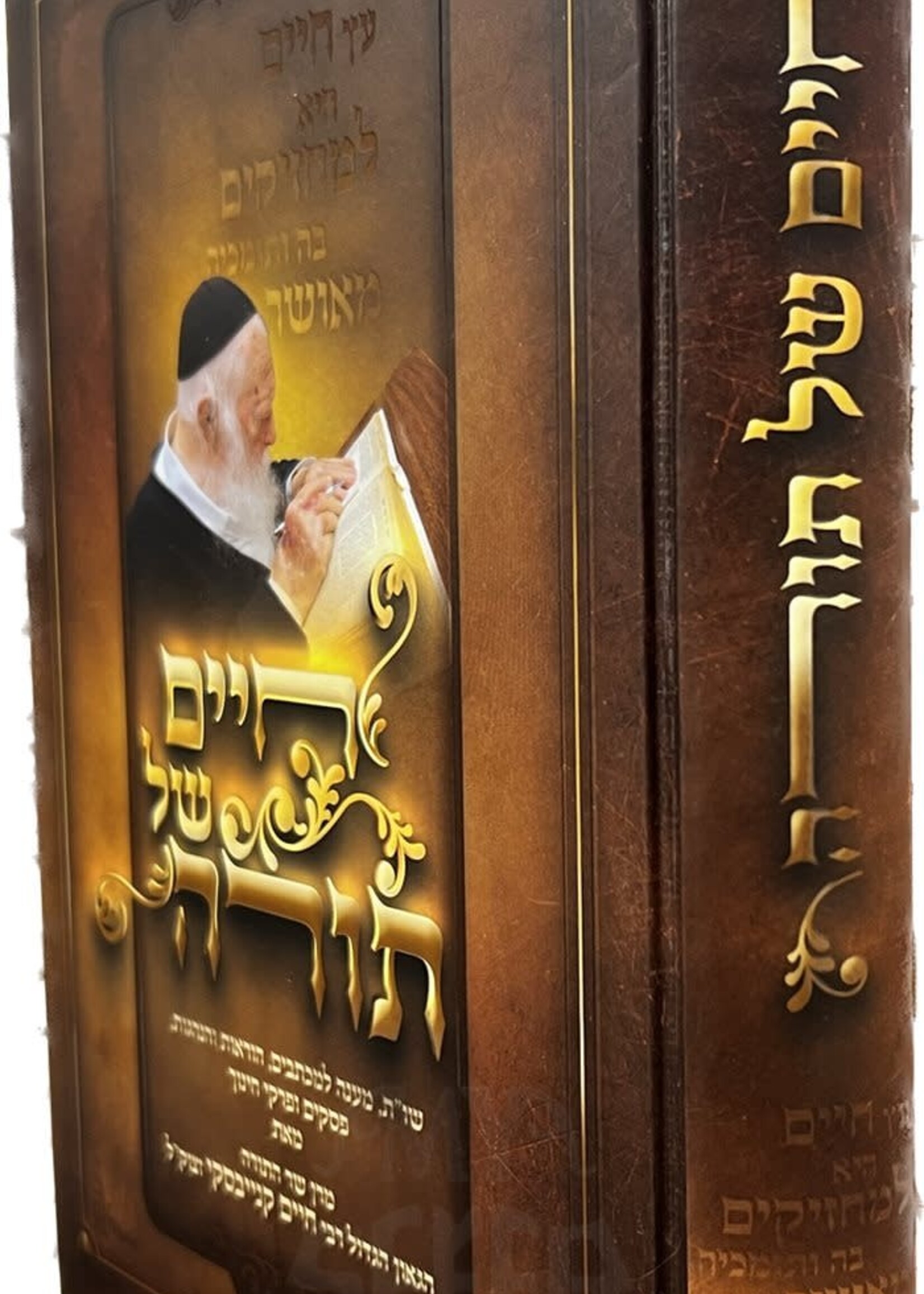 Chaim Shel Torah - Reb Chaim Kanievsky/  חיים של תורה - רבי חיים קנייבסקי