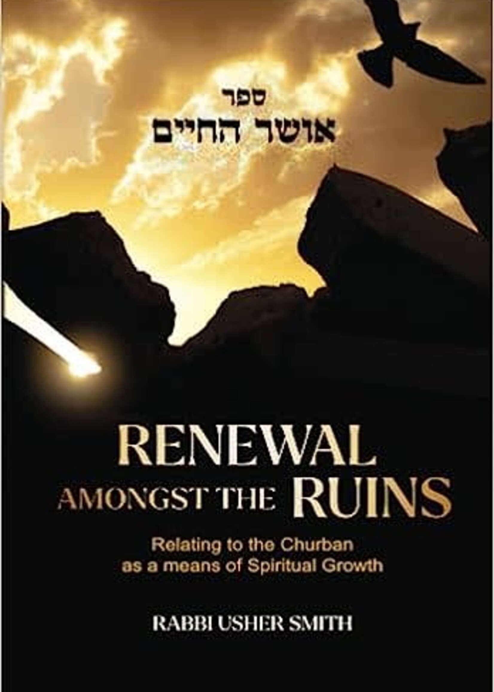 Rabbi Usher Smith Renewal Amongs the Ruins - Relating to the Churban as a means of Spiritual Growth