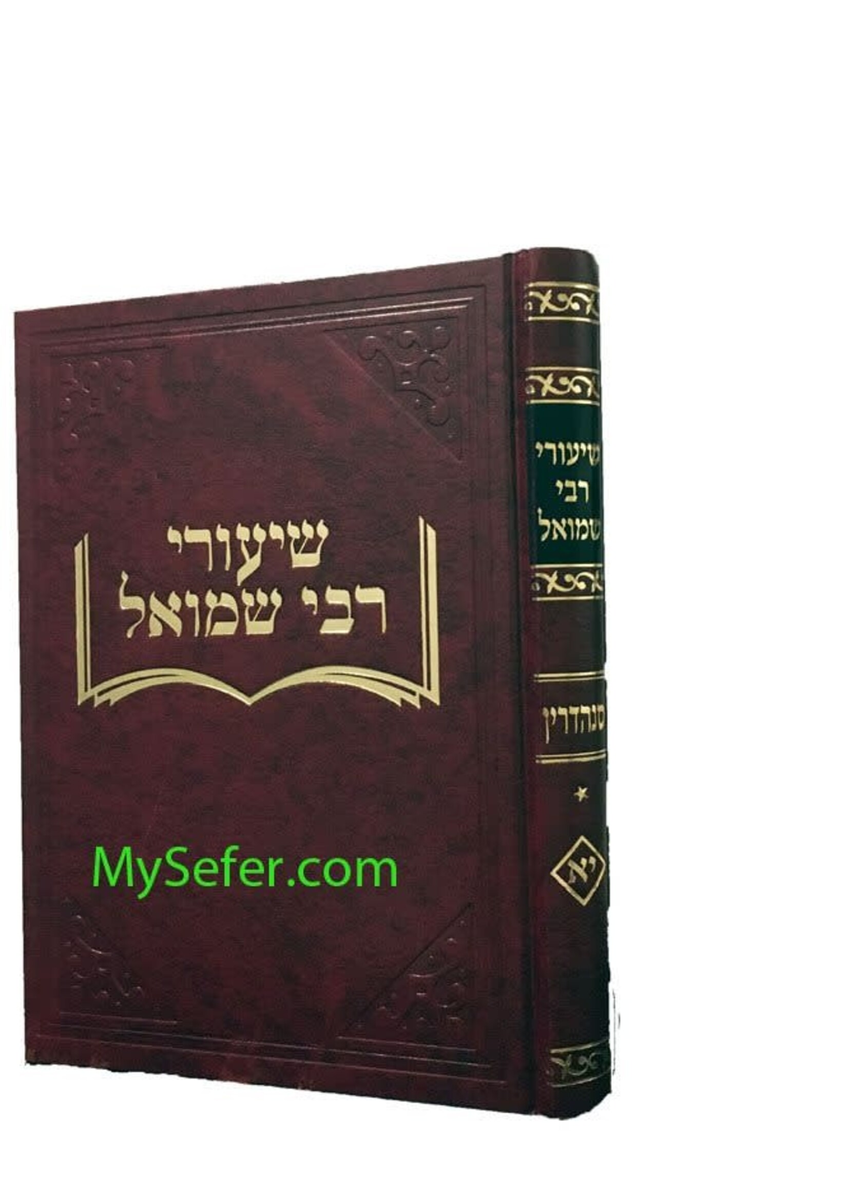 Shiurei Reb Shmuel - Sanhedrin Part 1/  שיעורי רבי שמואל - סנהדרין א