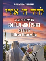 Rabbi Yehuda Y. Steinberg LeDovid Hashem Ori