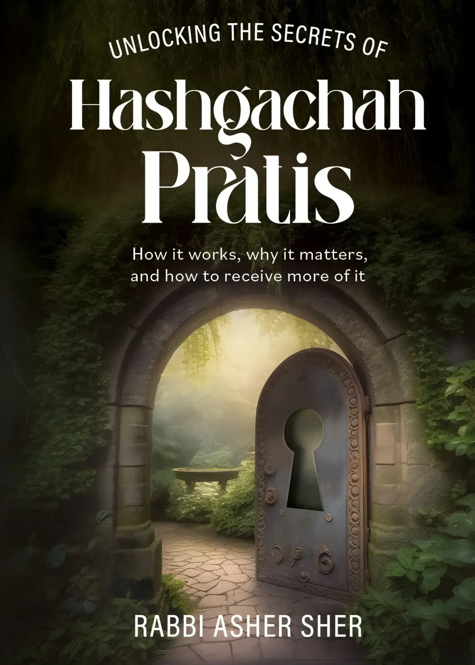 Rabbi Asher Sher Unlocking the Secrets of Hashgachah Pratis