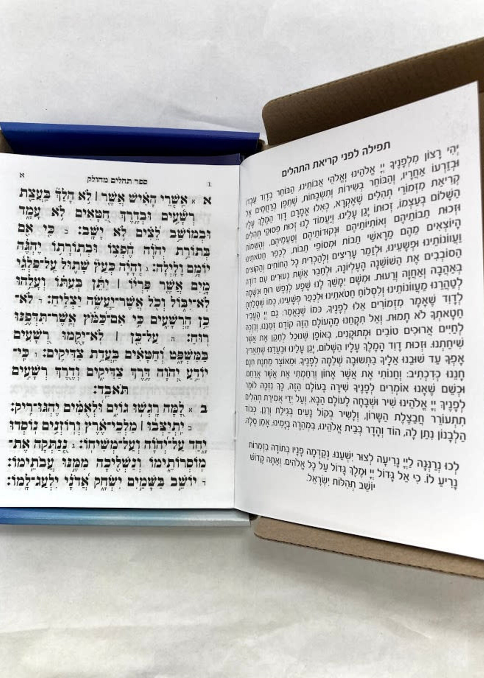 Tehillim Mechulak 28 Booklets Hebrew תהילים המחולק--Blue