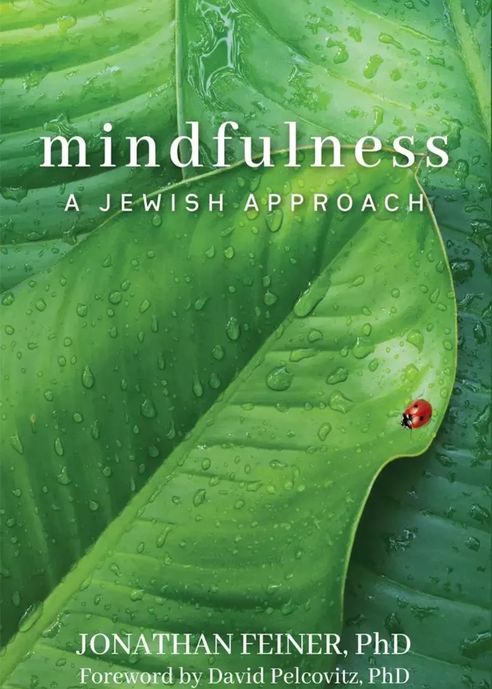 Jonathan Feiner Mindfulness -A Jewish Approach