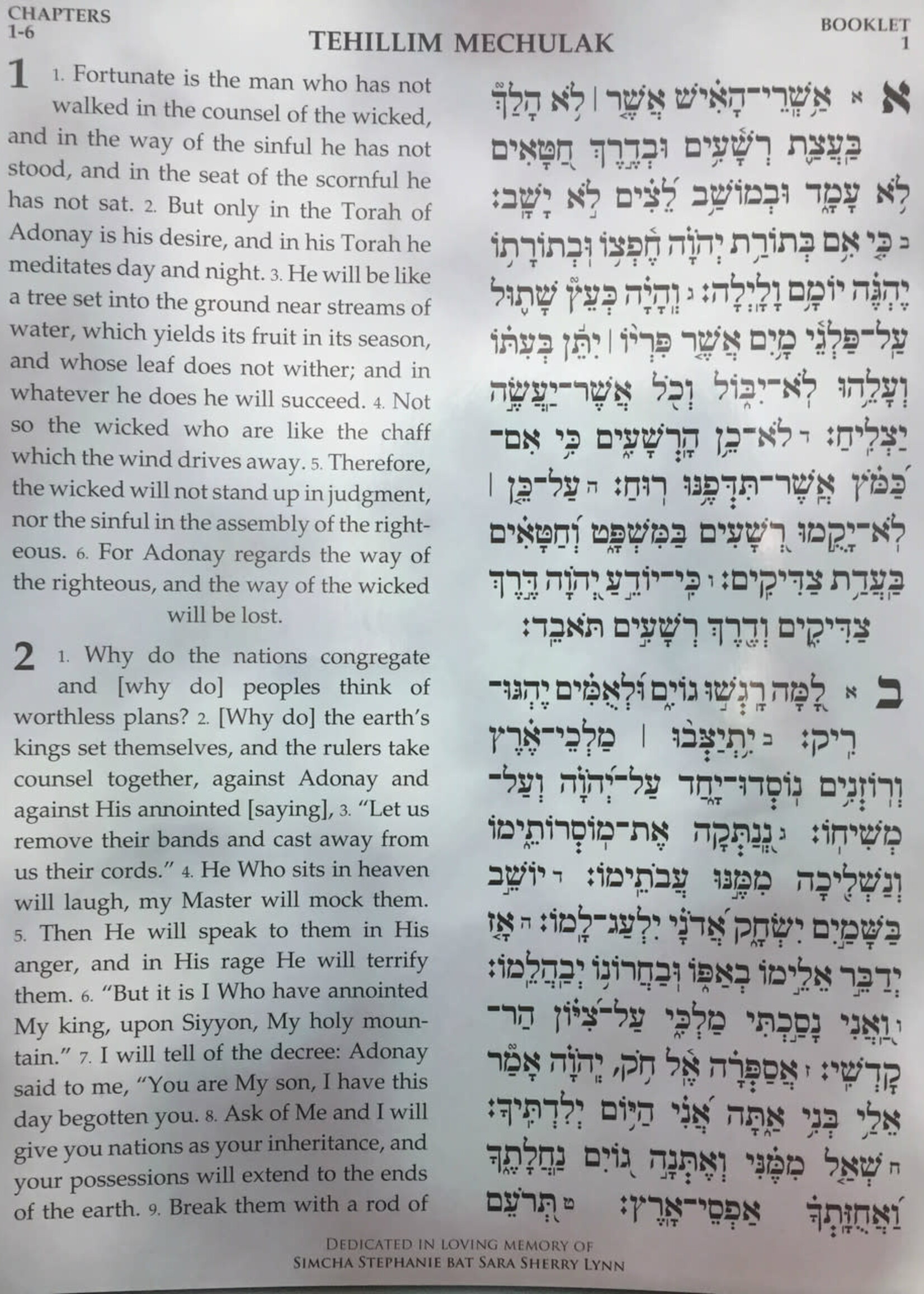 Large 9" x 12" H/E Tehillim Mechulak - 39 vol. (Hebrew / English )