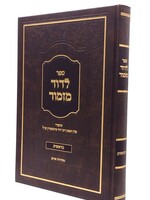 Rabbi Dovid Feinstein Ledovid Mizmor Bereishis/  לדוד מזמור - בראשית