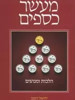 Maaser Kesafim - Yechiel Domb