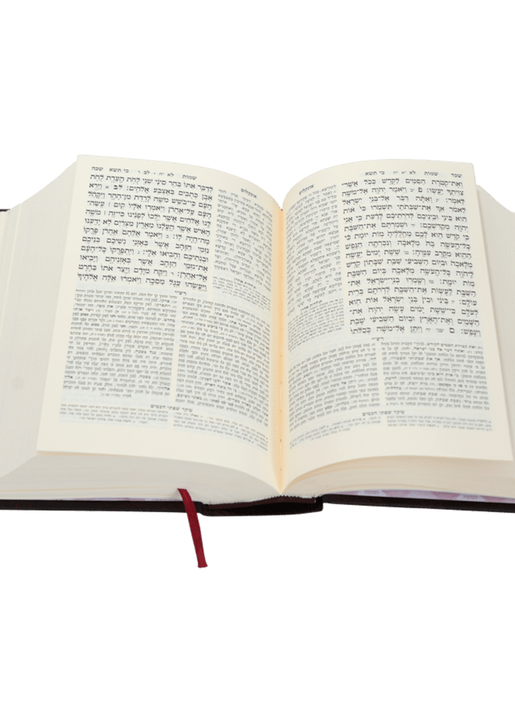 Complete Chumash - with Siddur L'Shabbos & Tehillim