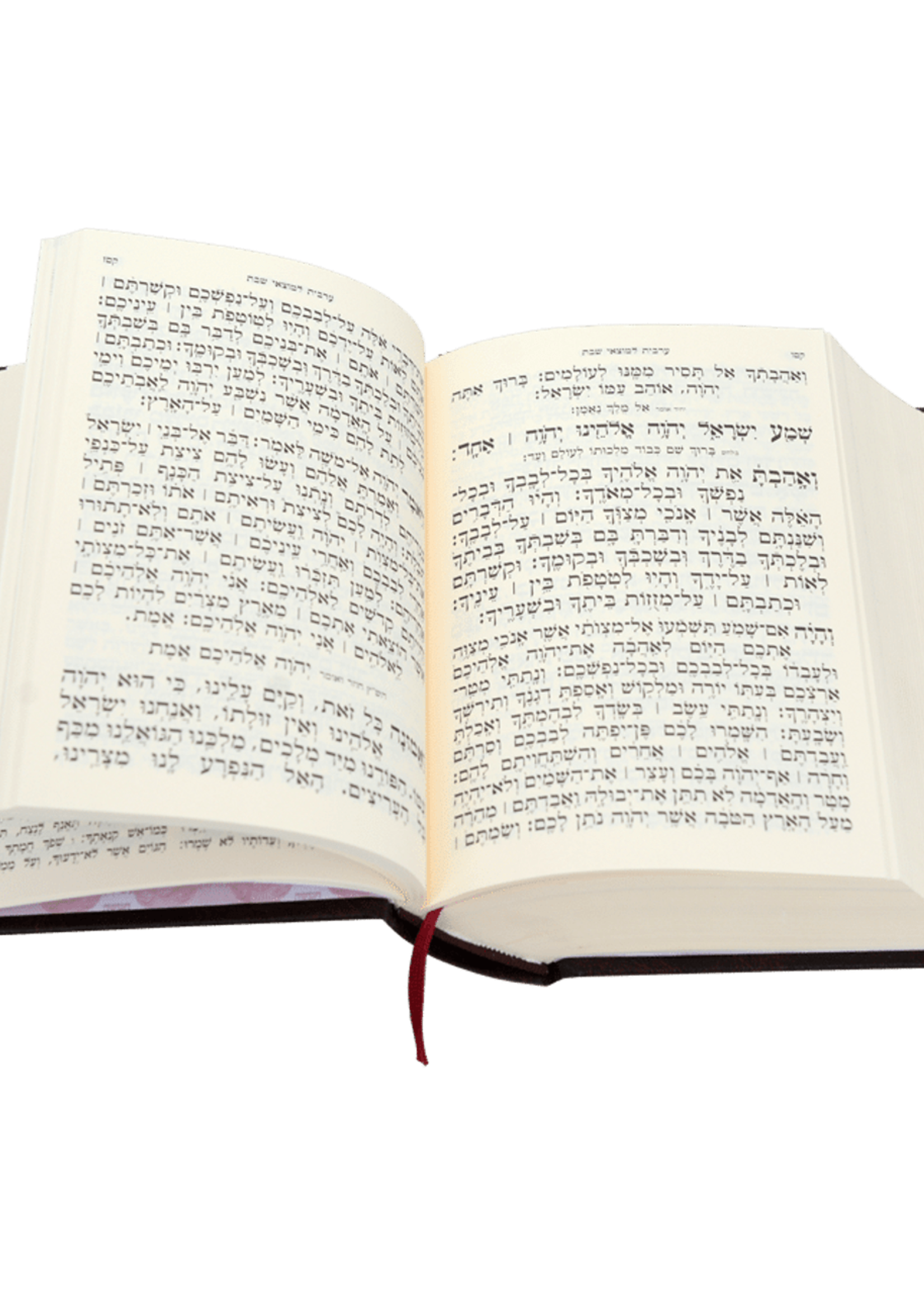 Complete Chumash - with Siddur L'Shabbos & Tehillim