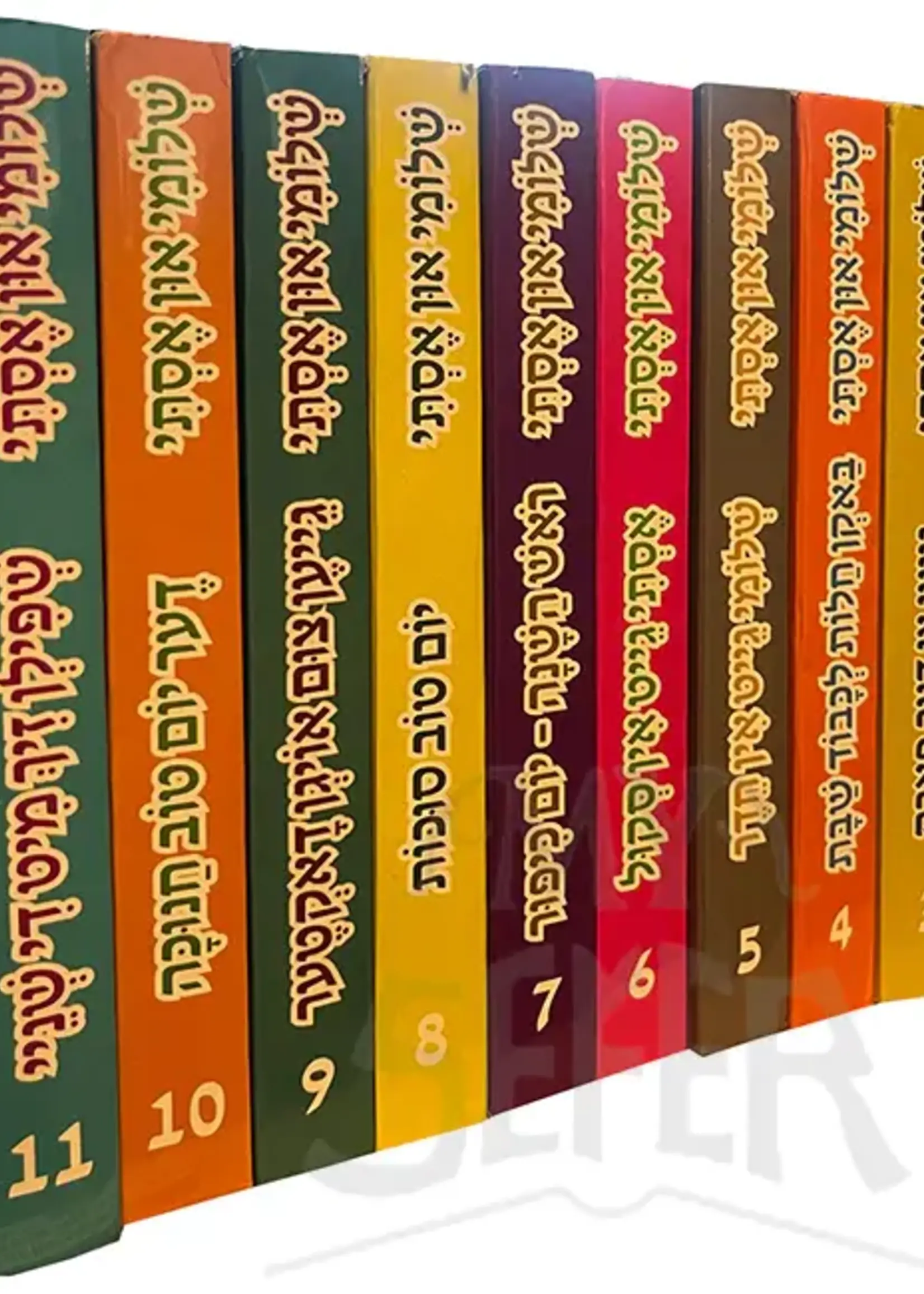 Shloimy and Esty Series - 11 vol. ( Yiddish )