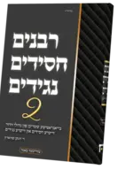 Rabbanim Chassidim Naggidim #2