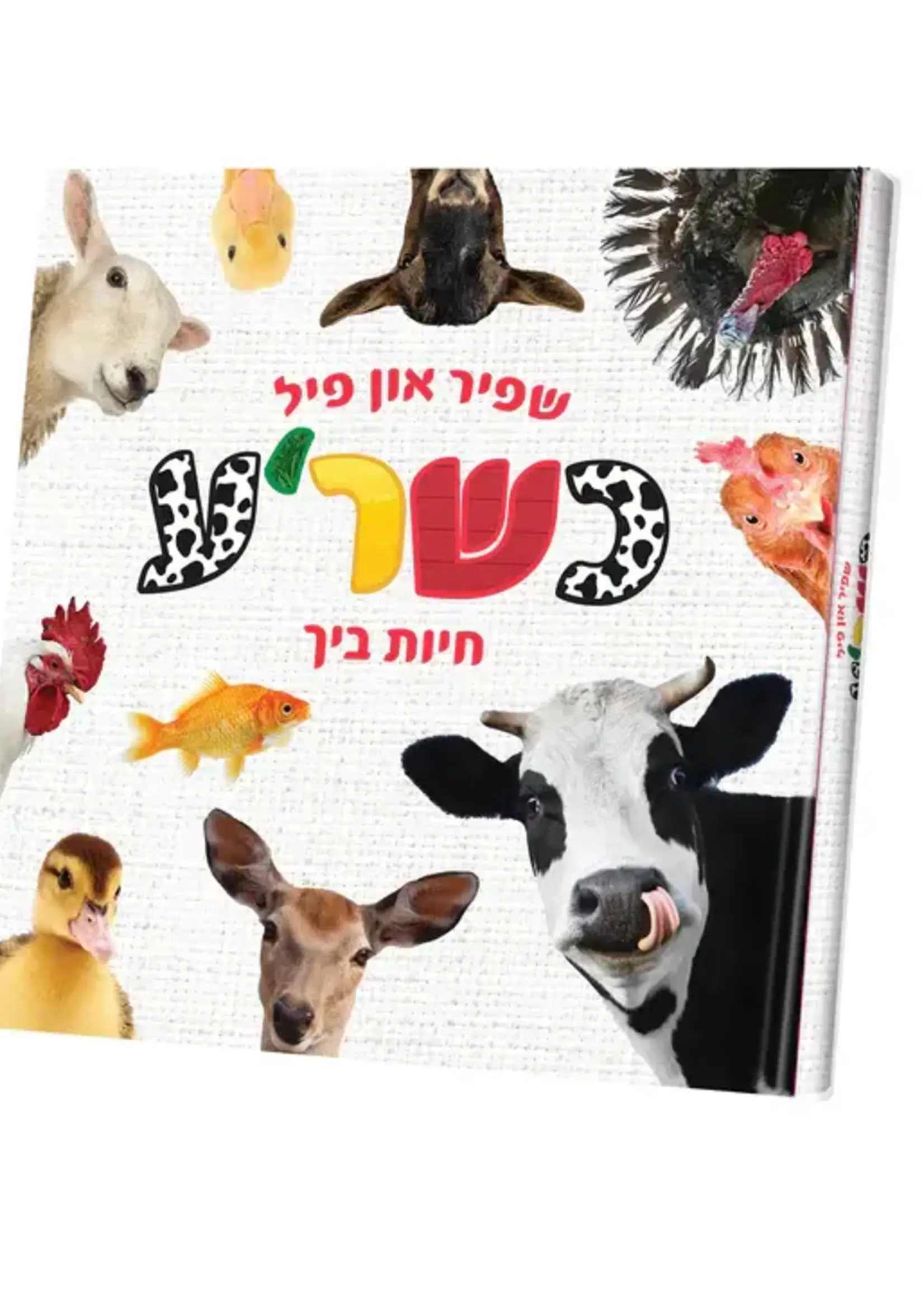 My First Touch and Feel Animal Book Yiddish