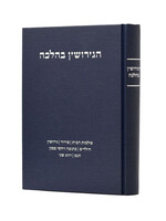 HaGeirushin B'Halacha / הגירושין בהלכה